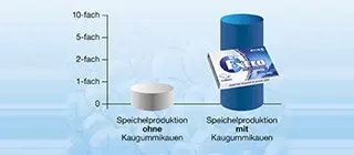 Speichelproduktion beim Kaugummikauen Grafik