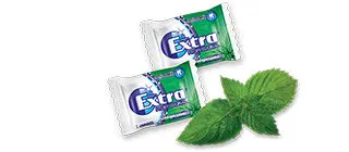 Extra Kaugummis mit Pfefferminzgeschmack